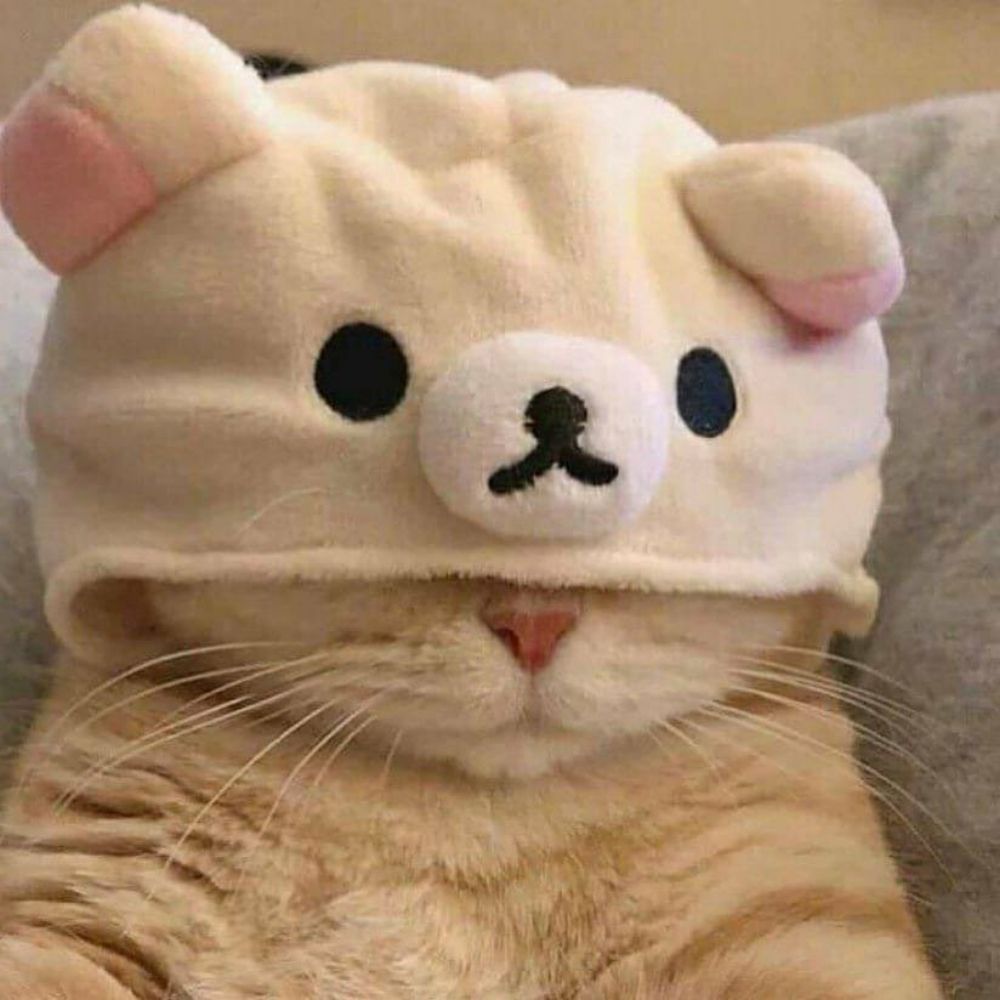 엘리스라스트네임