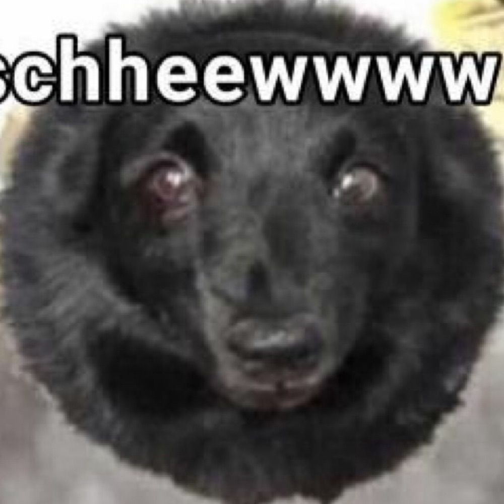 F1SH