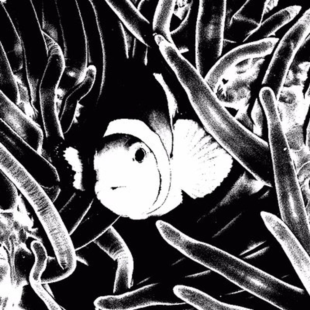 Finding Emo