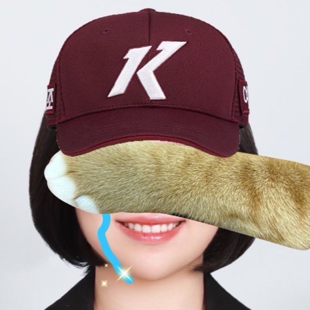 다희