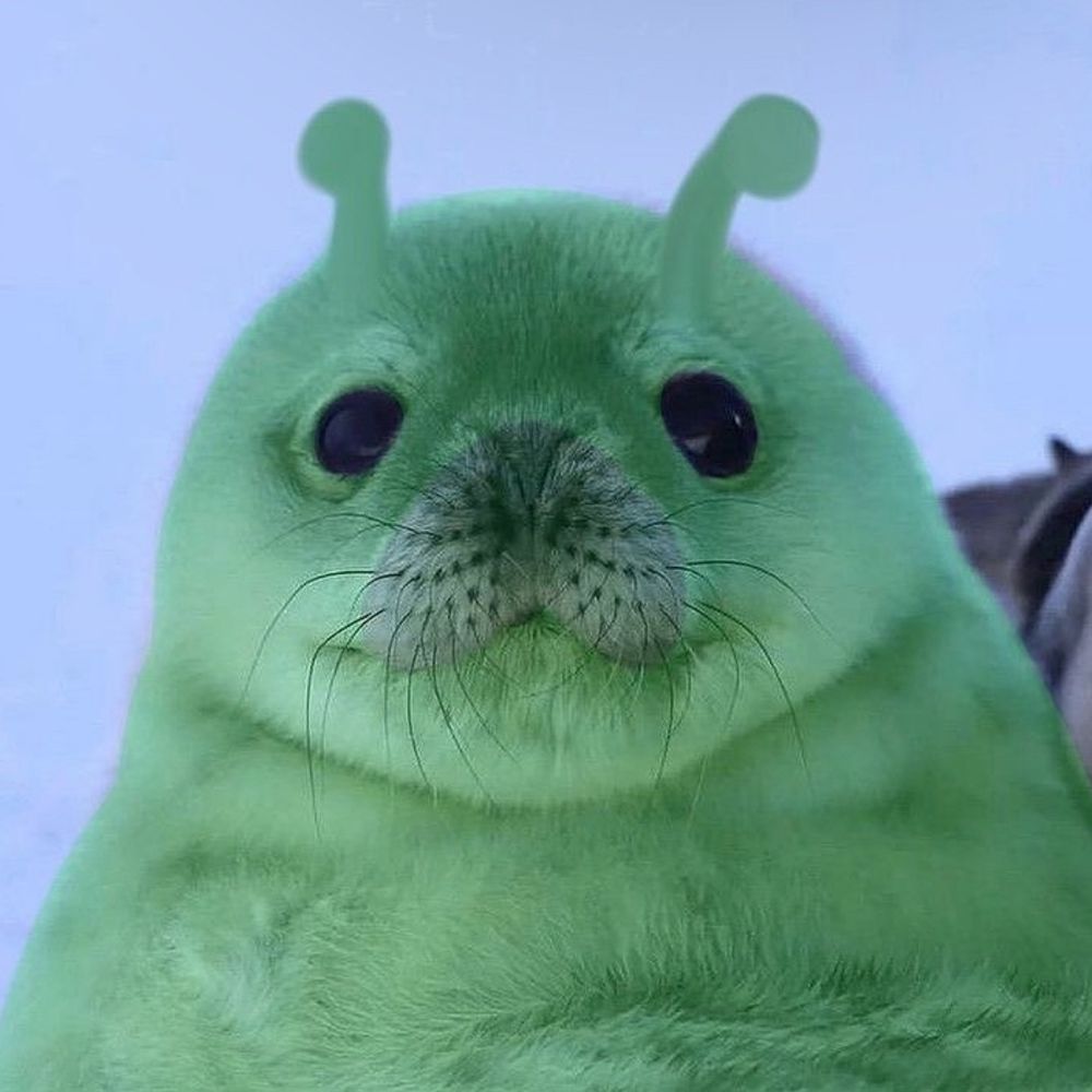 Salmonella
