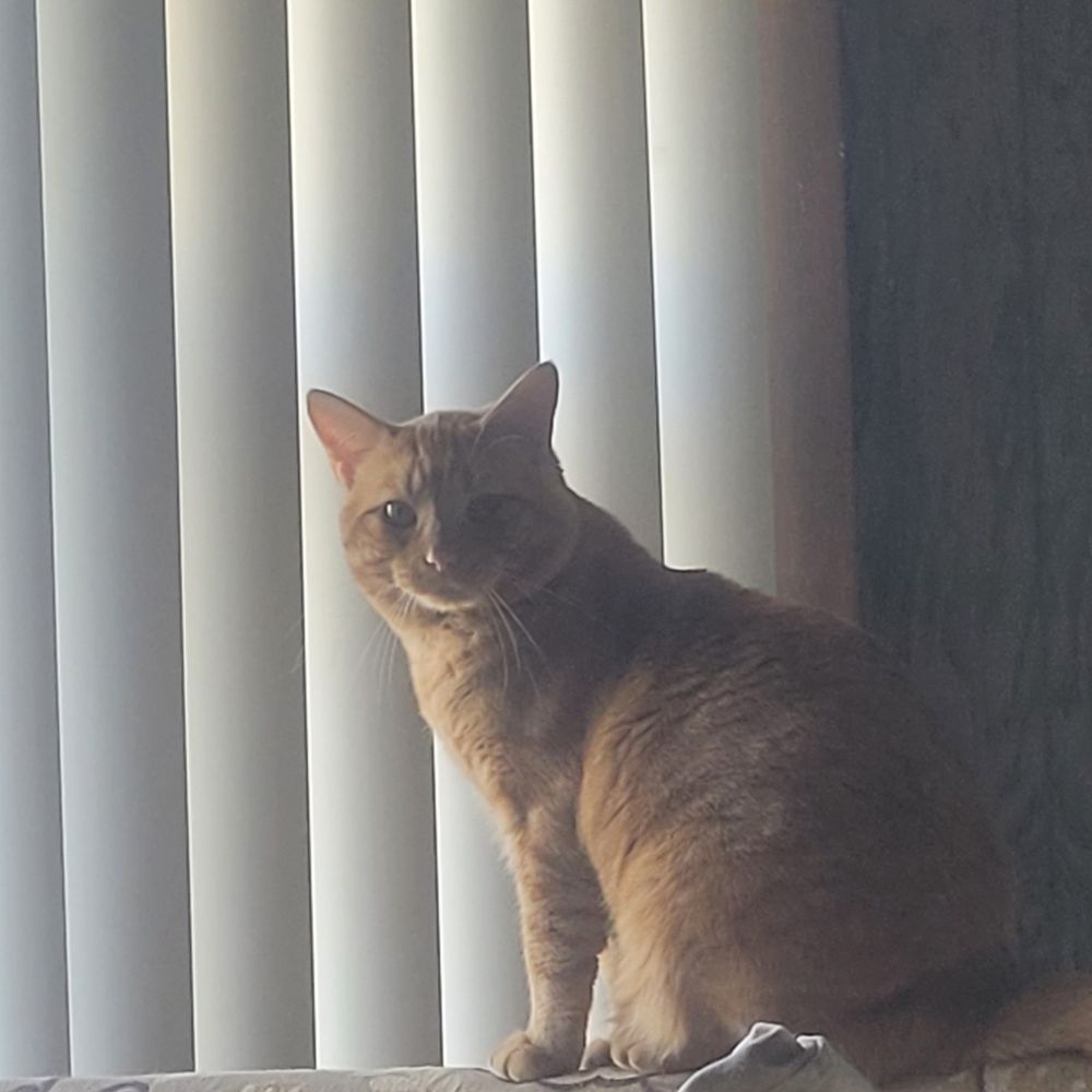 Jesse