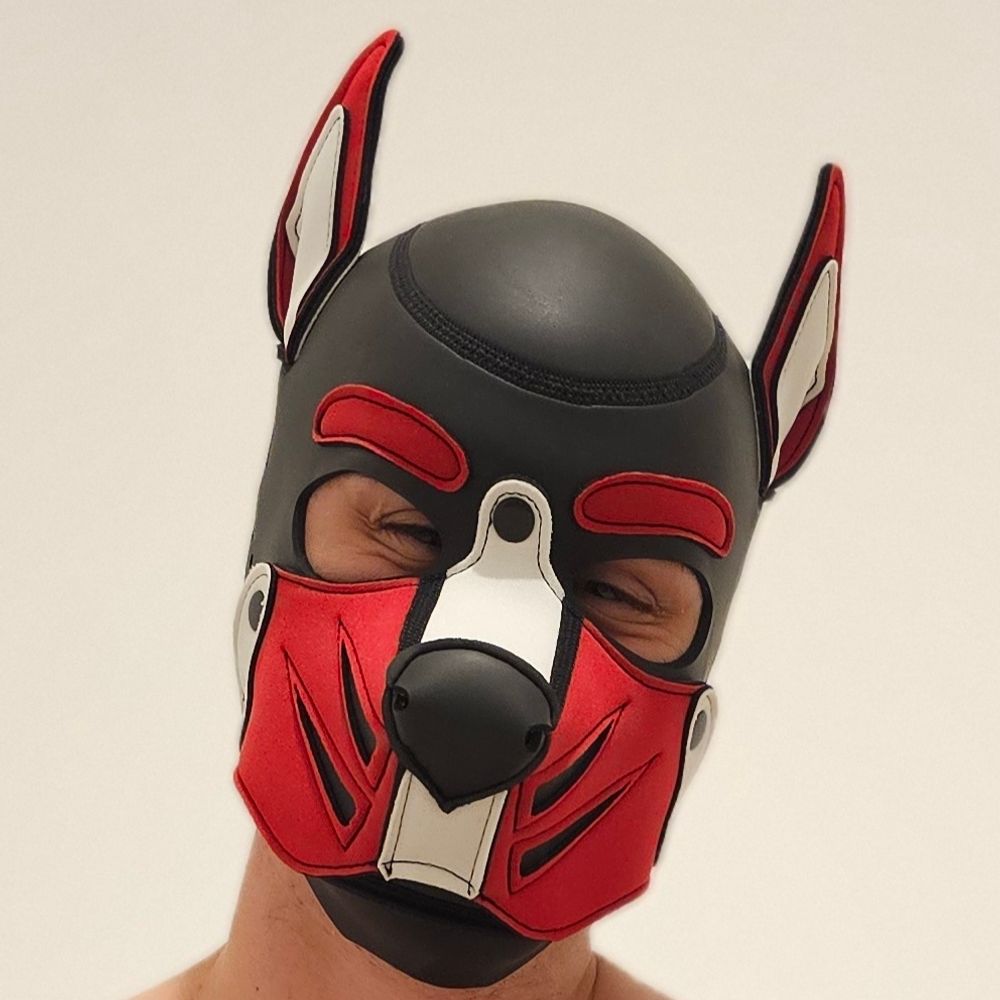 Pup Stan