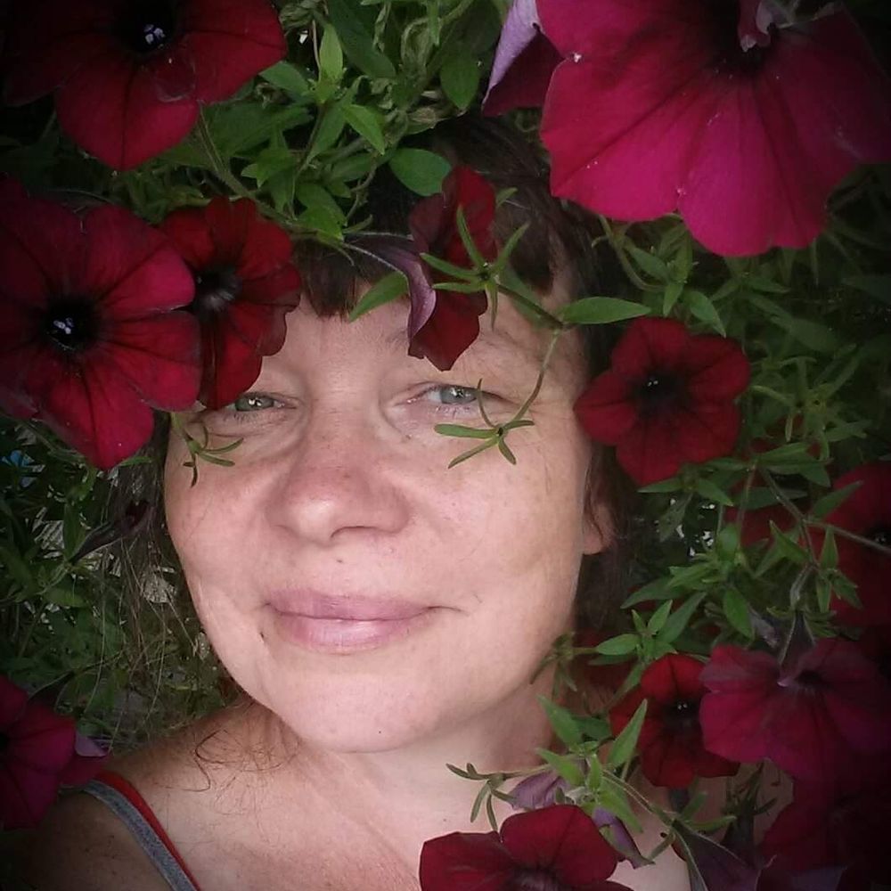Päivi Seikkula