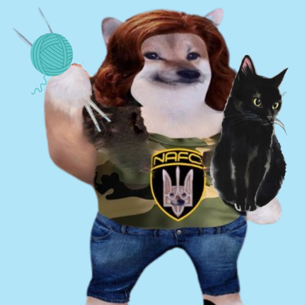 lizafella.bsky.social profile picture