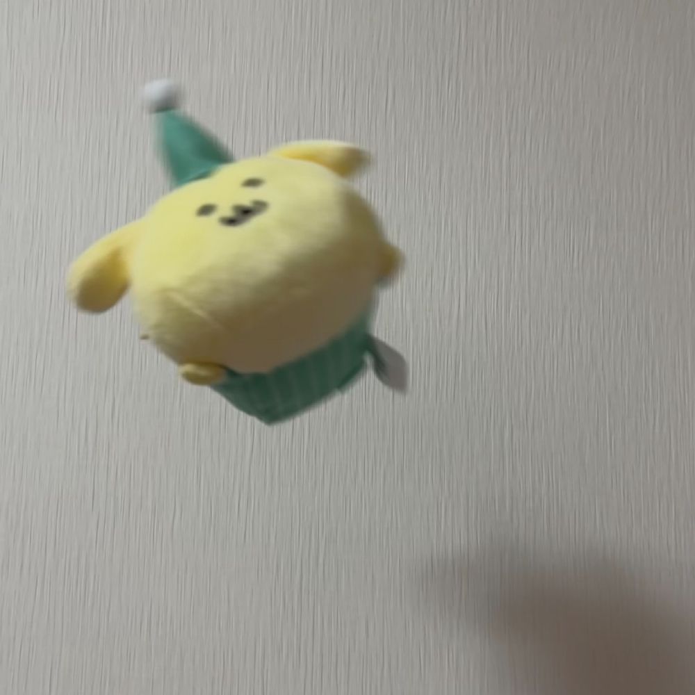 ぽん