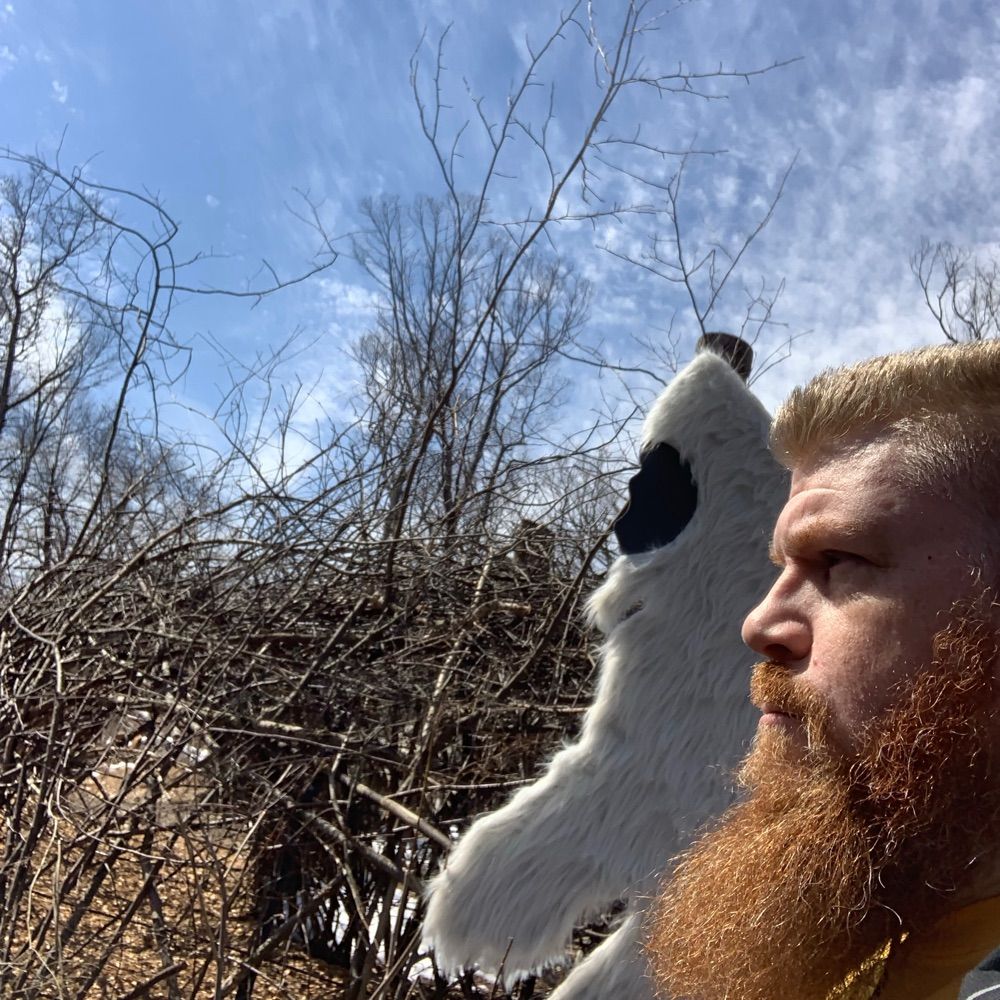 Bearded Pip's avatar