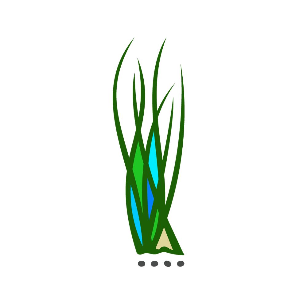 Tallgrass Institute