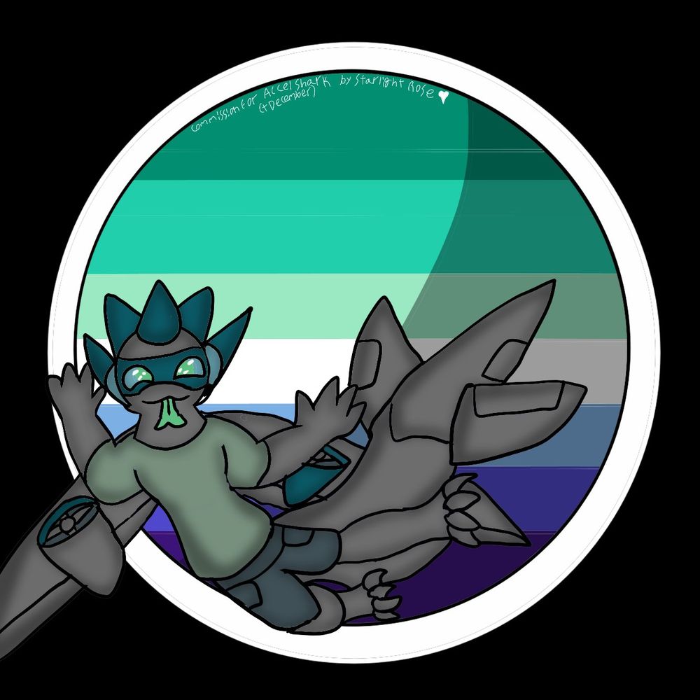 Acceleration Shark