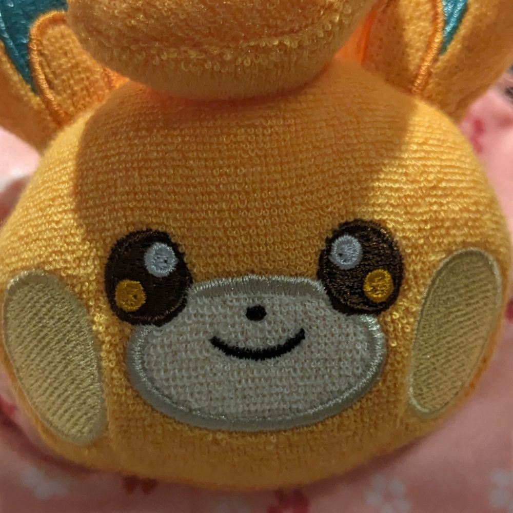 すわ