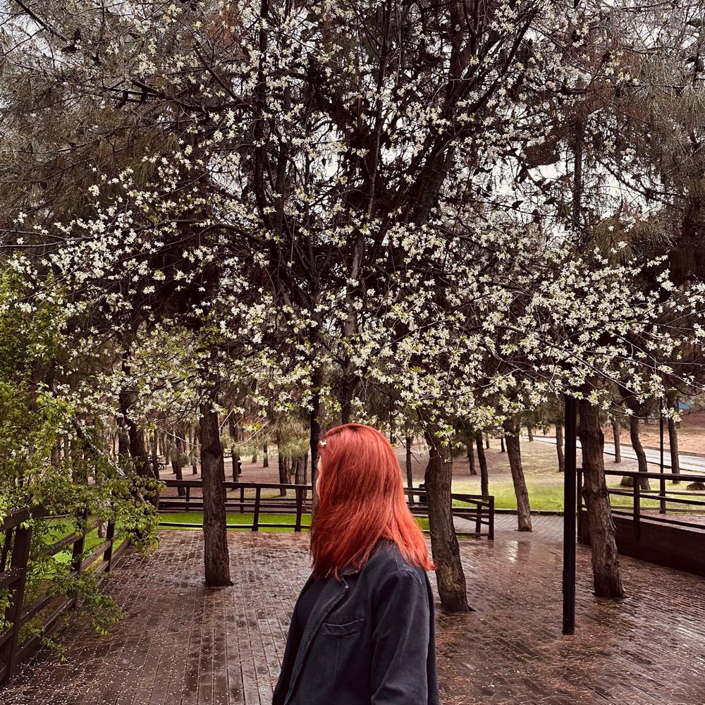 irem