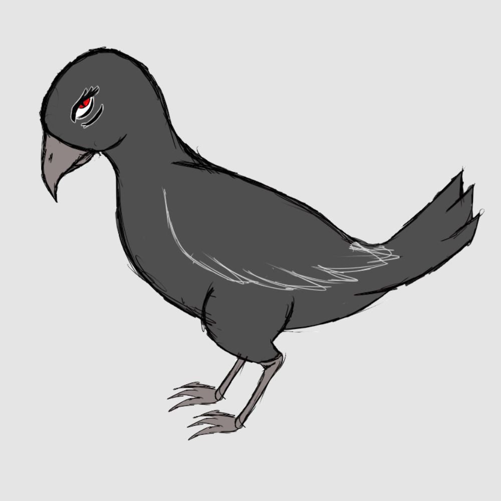 Veri