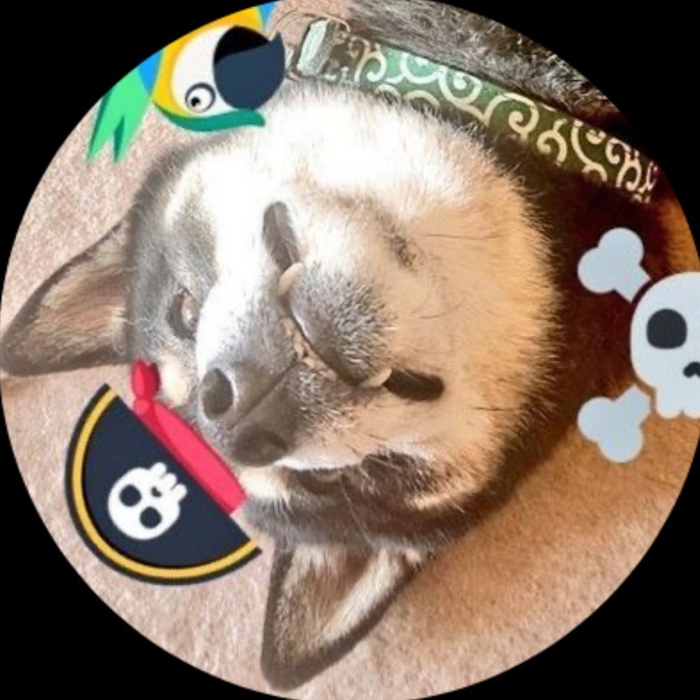 まめしば⚔️🏴‍☠️🛡️💖＠eternal.symbol