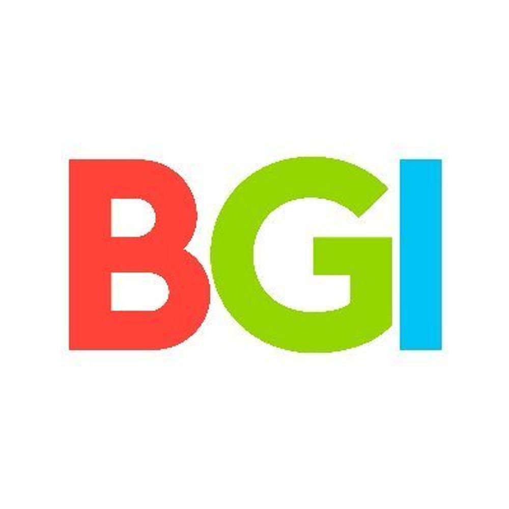 The BGI (National Videogame Museum)