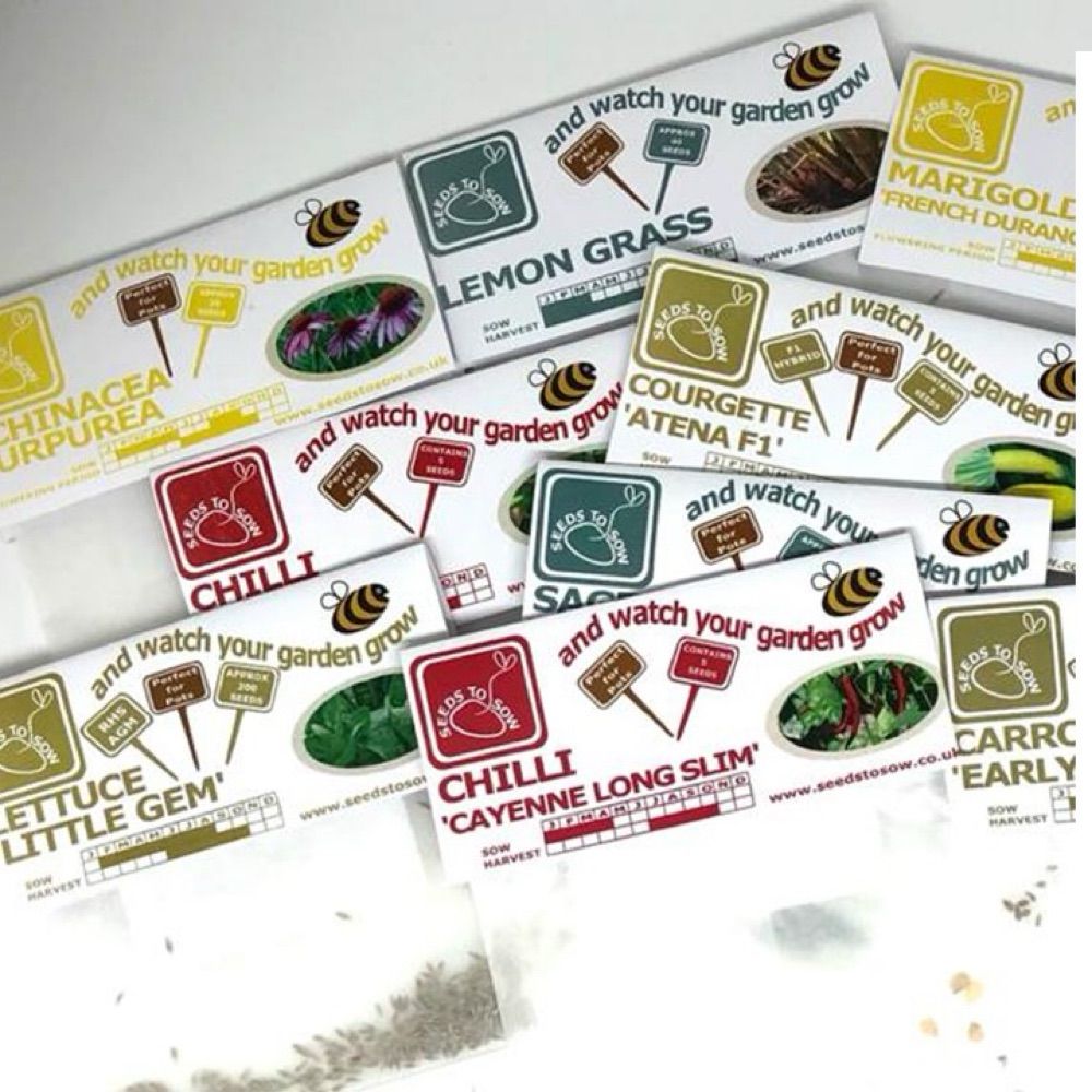 Seeds to Sow Ltd