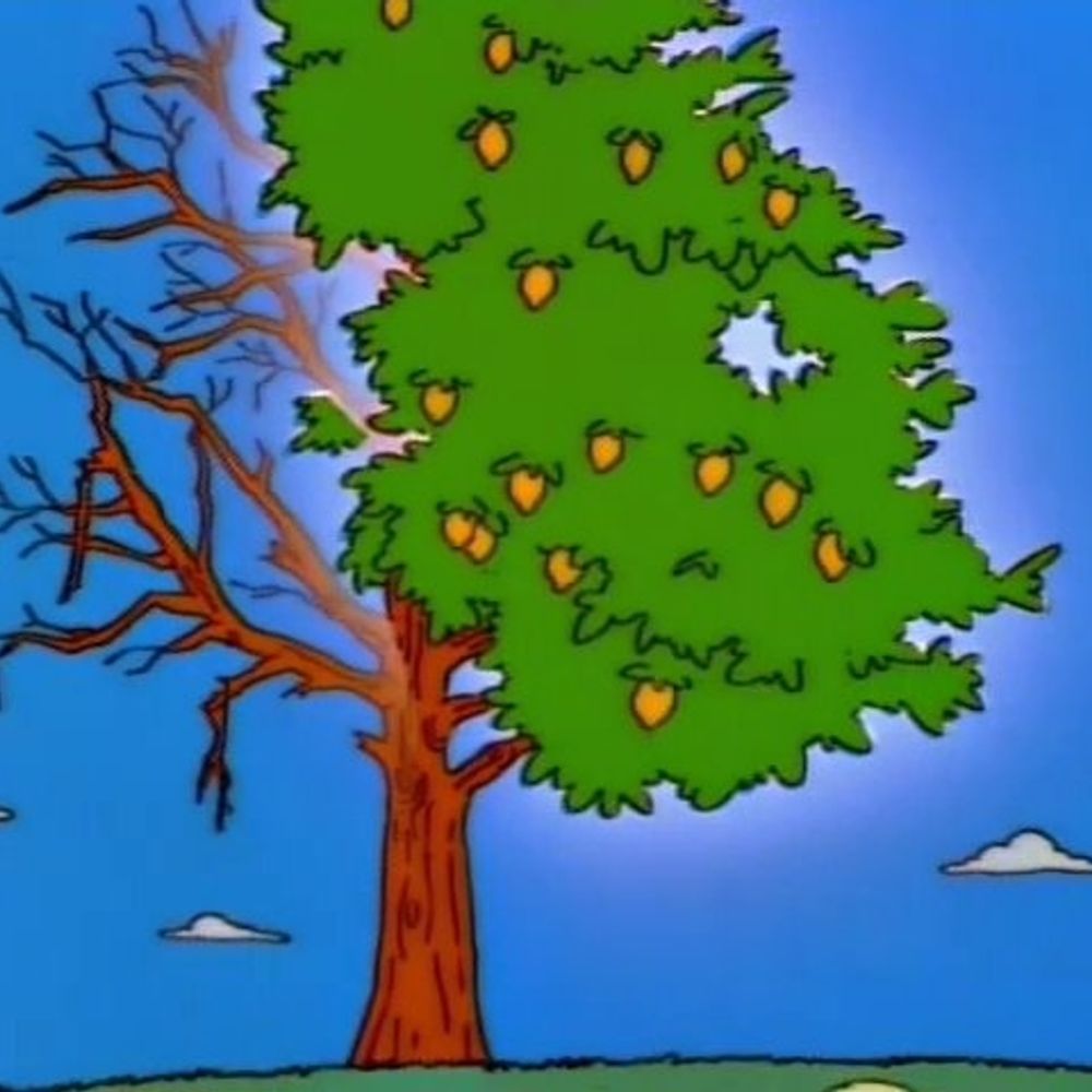 the lemon tree