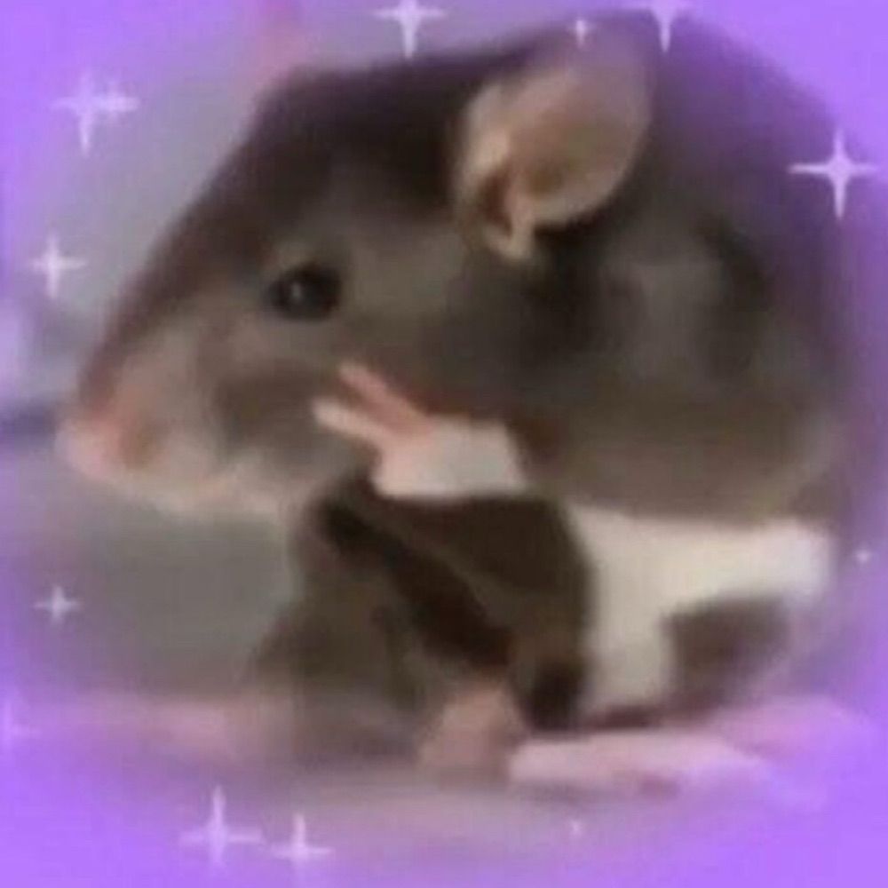 Sublime rat