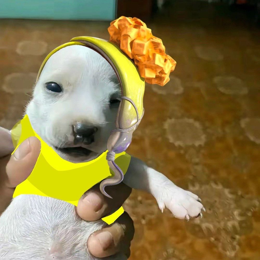 Bluwuw
