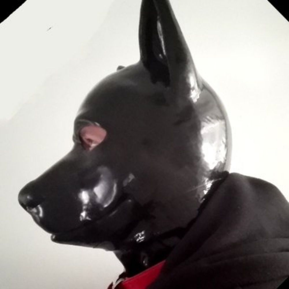 Puppy Jun 順