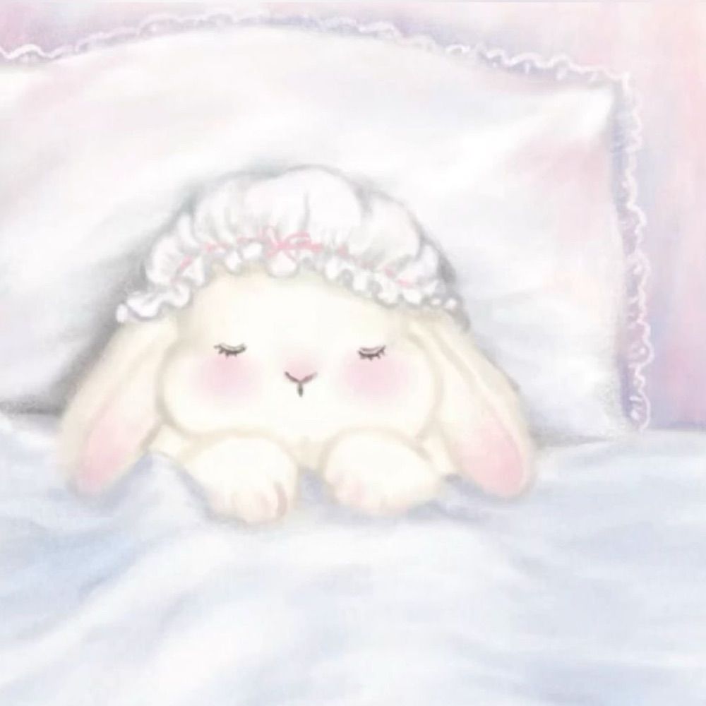 Bunny🤍