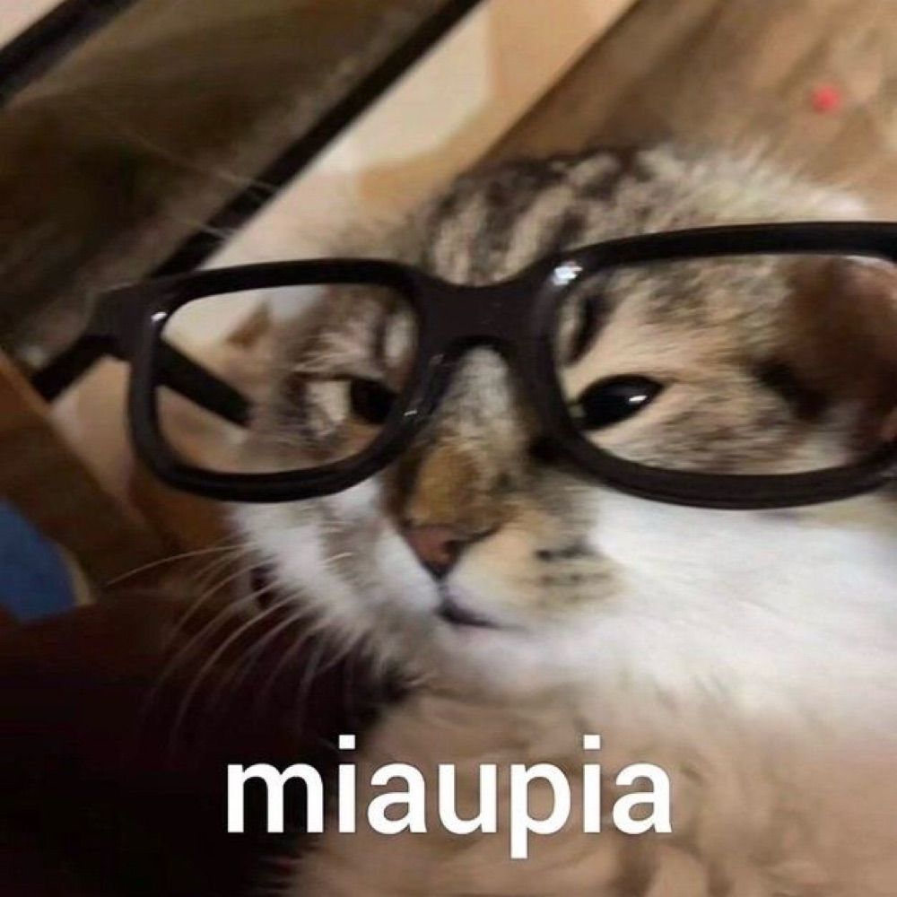 coelhinha🐇