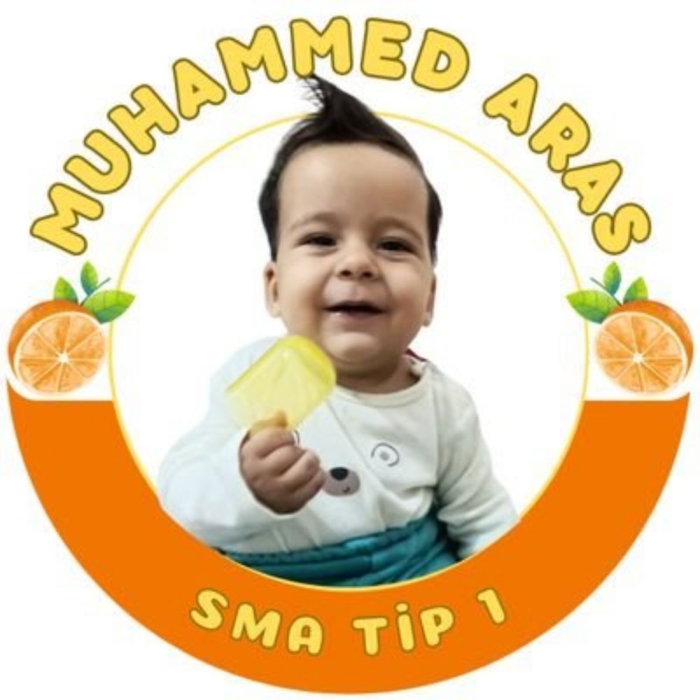 Muhammed Aras SMA1