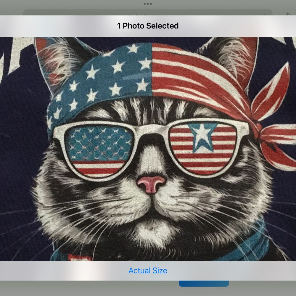 MAFA - Make America Free Again