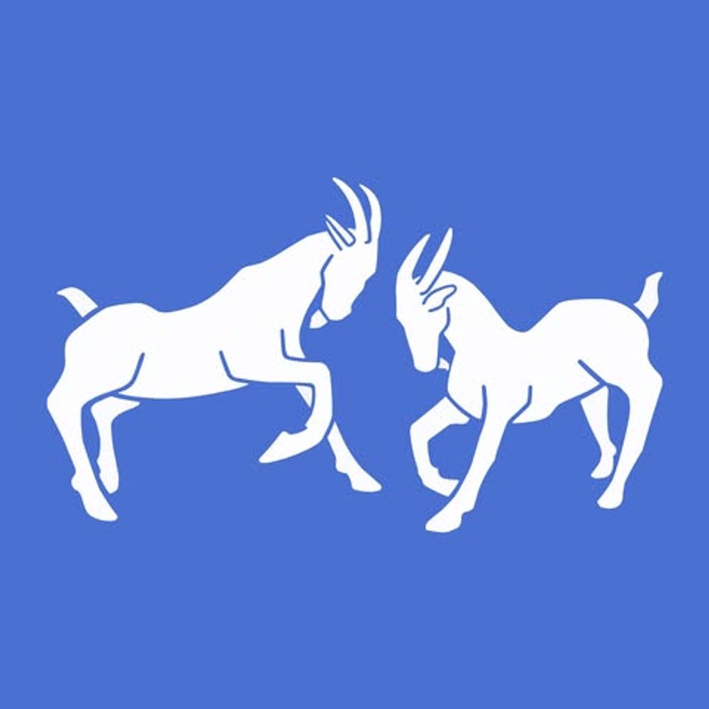 miasto247.bsky.social