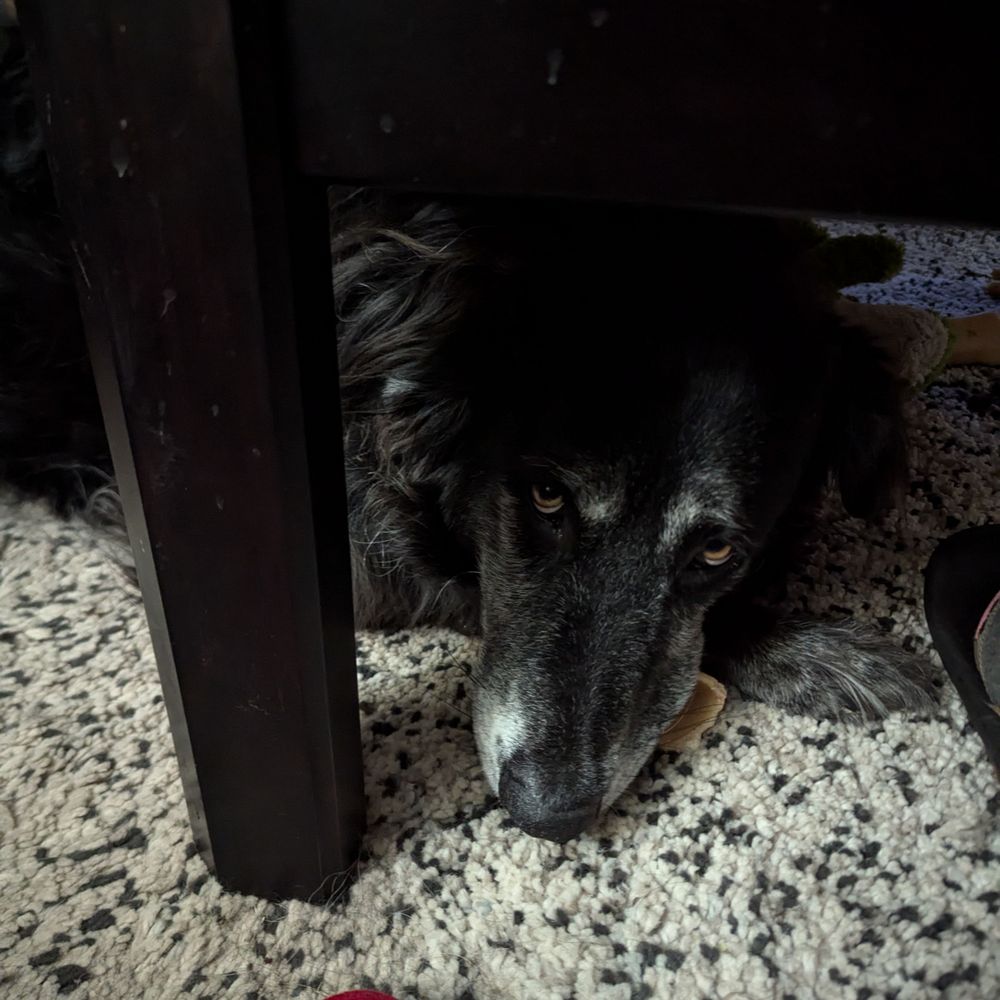 Berni