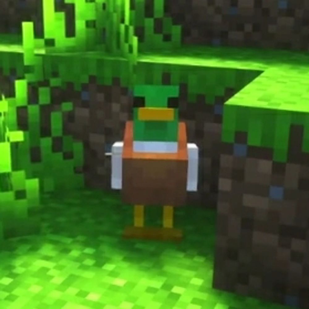 Sr pato do Arkanis