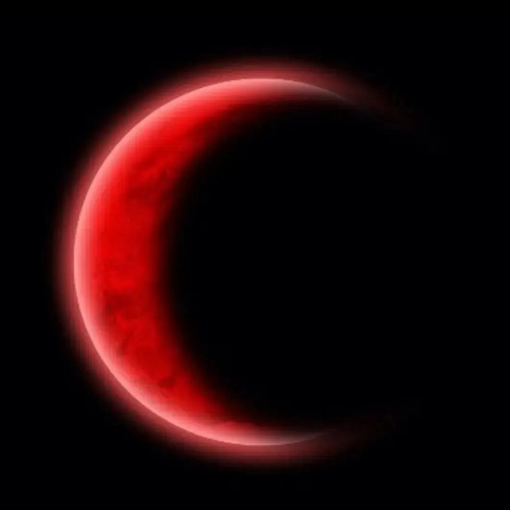 Moonlight 🌙 ¹³