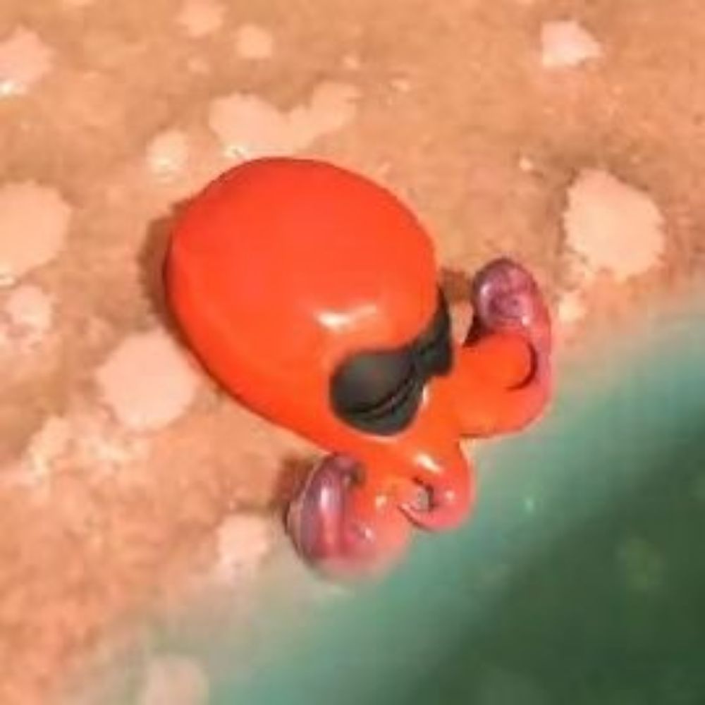 はこ🐙