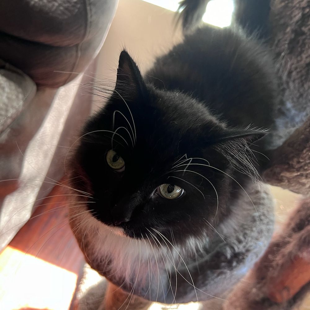 Tux