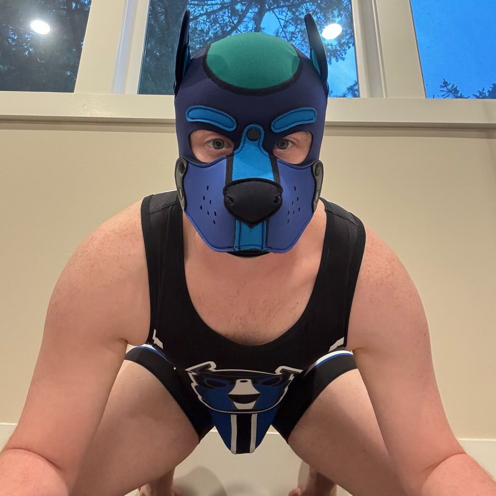 Pup Slate