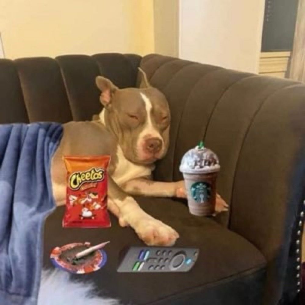 Take some rest