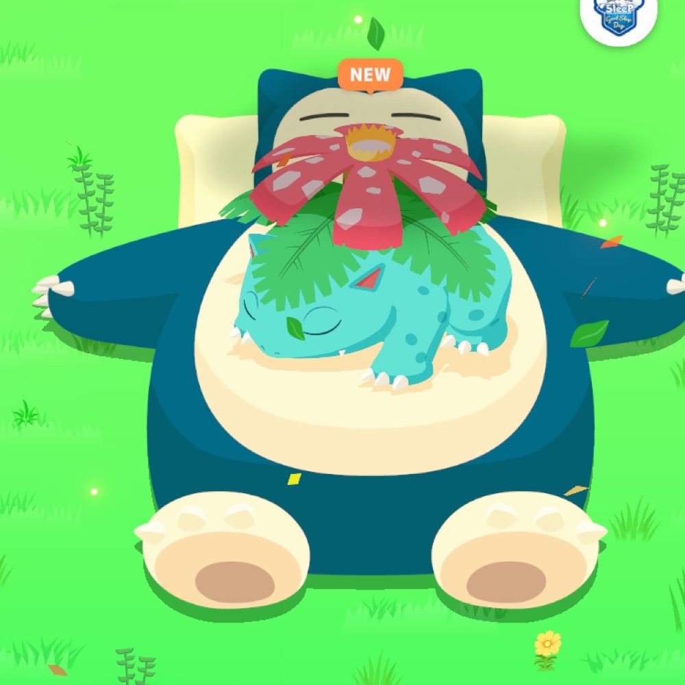 しーたけ🍊