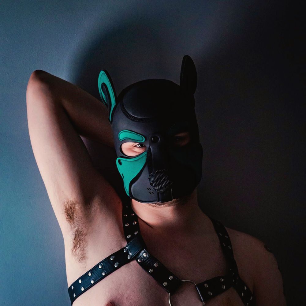 Pup Rinus