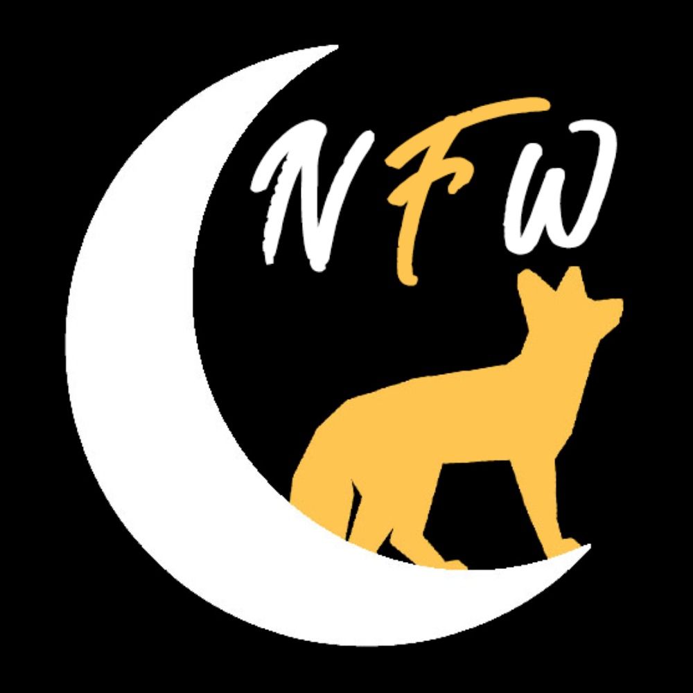 Night Fox