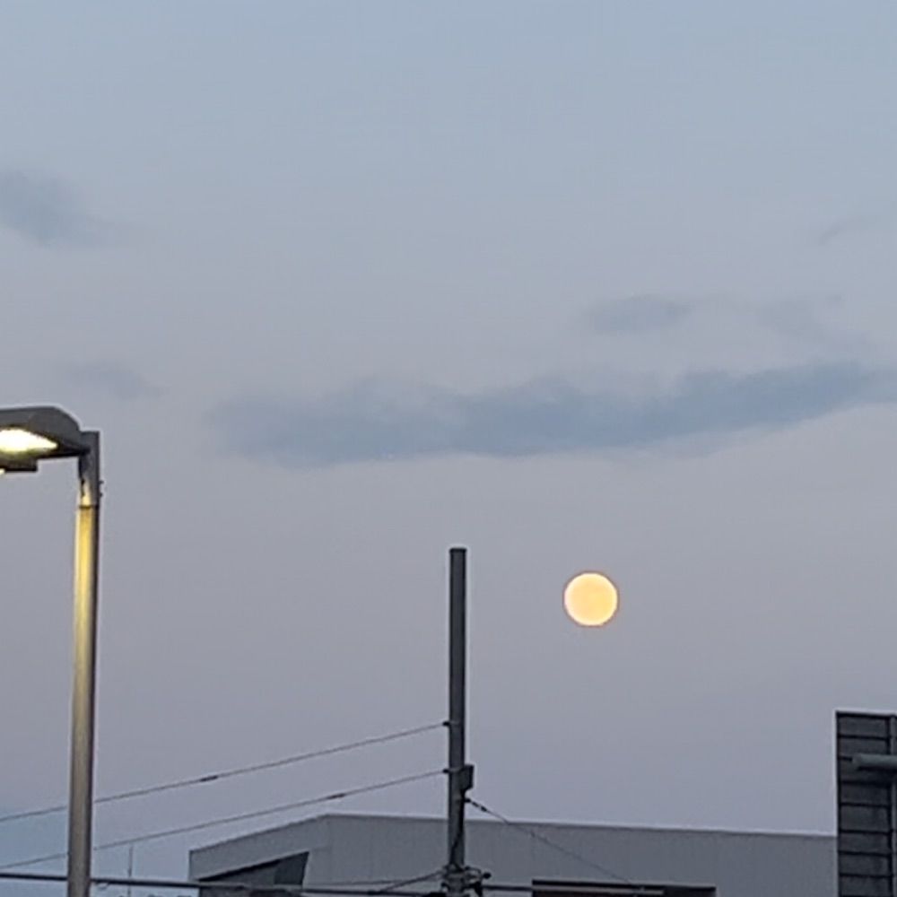 夏矢