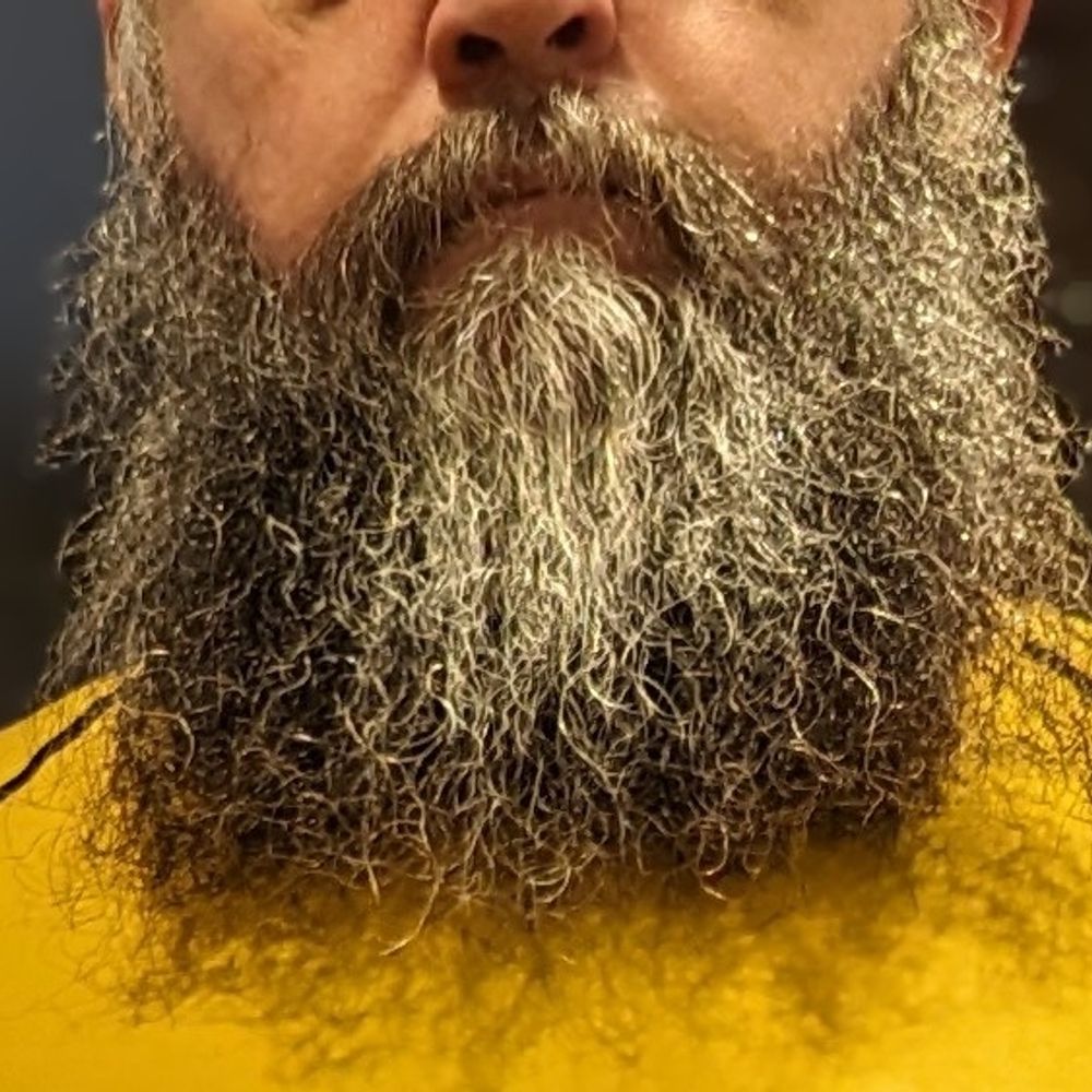 Bearded Bear in Chgo