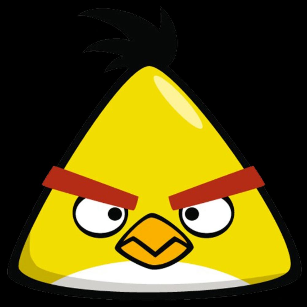 Chuck Bird