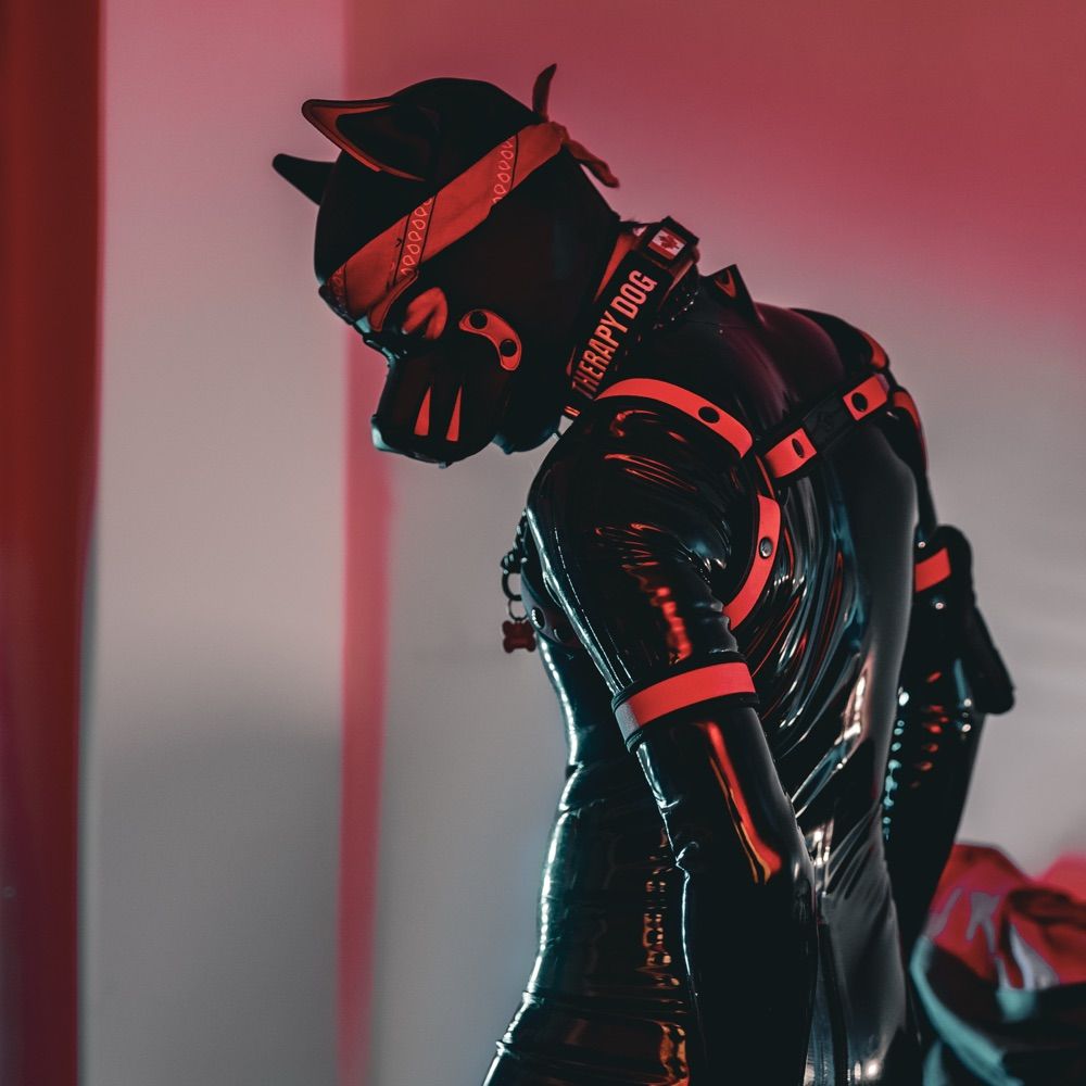 Zakos