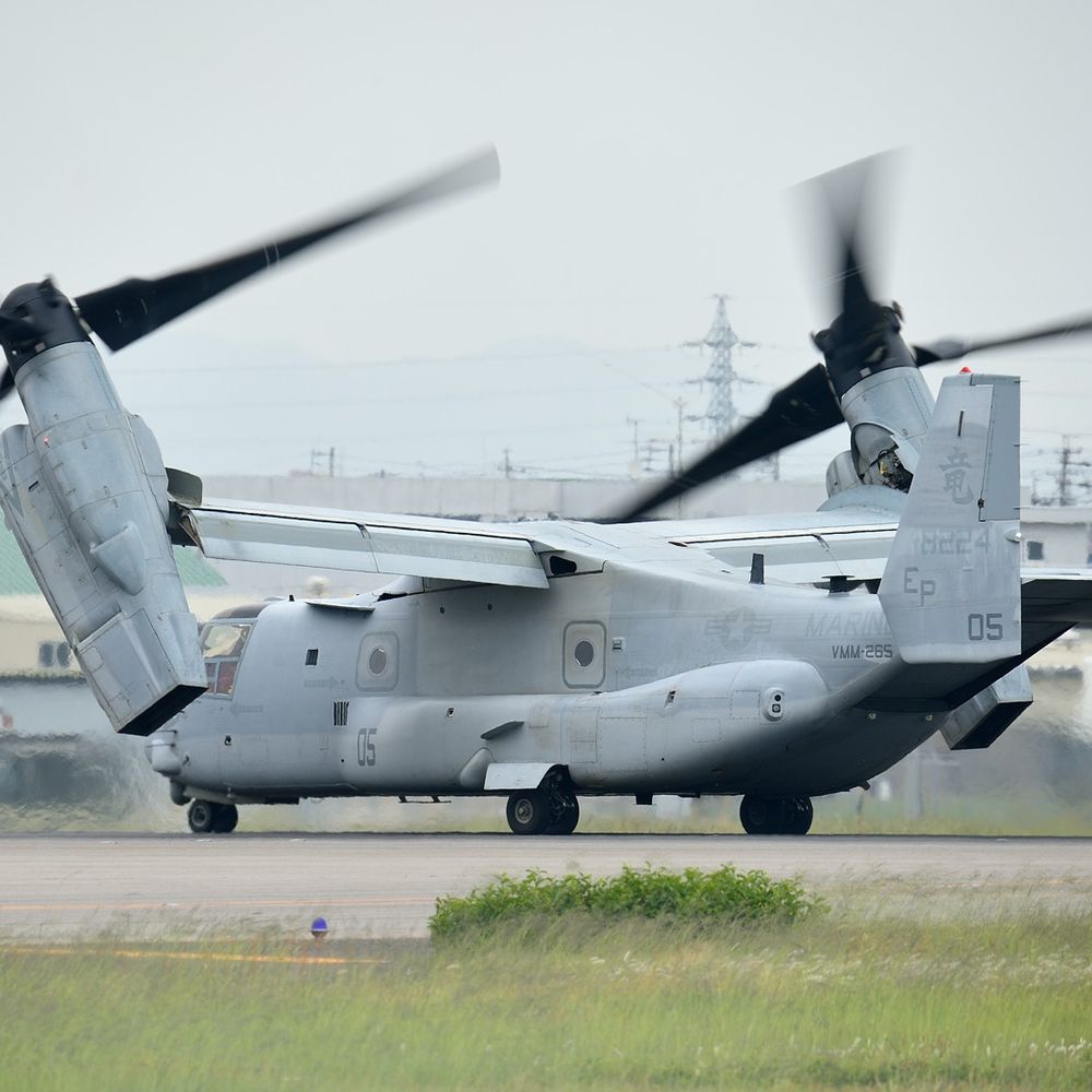 Osprey