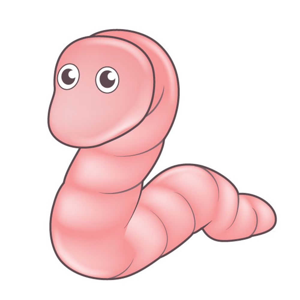 White Worm