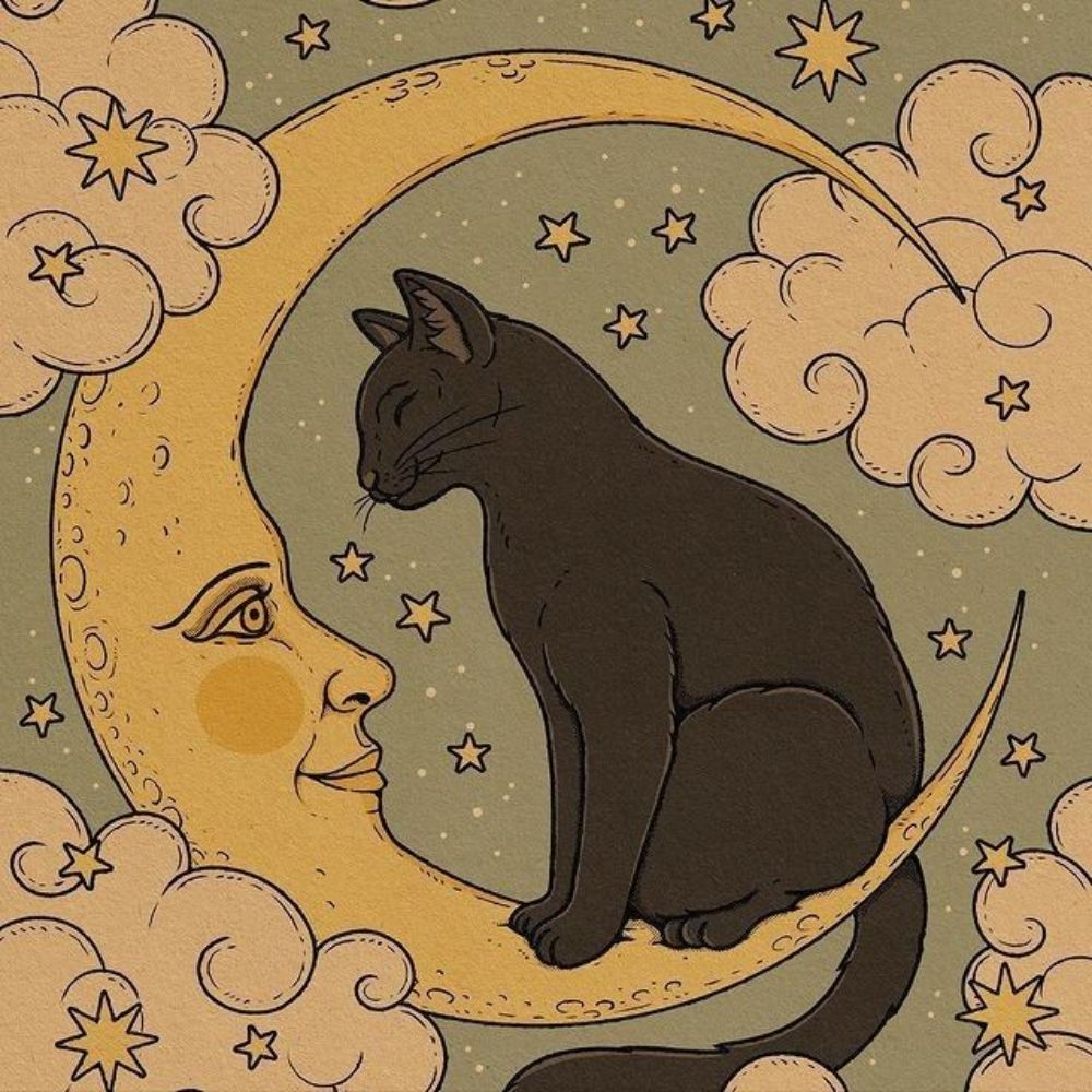 Moon