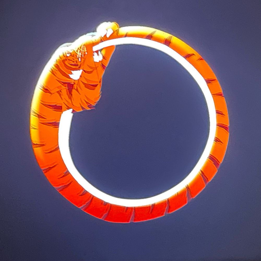 Tiger Tail