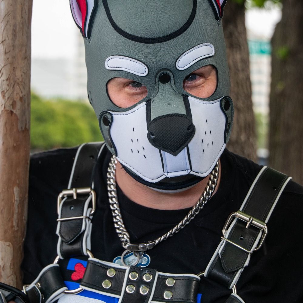 Pup Sabi