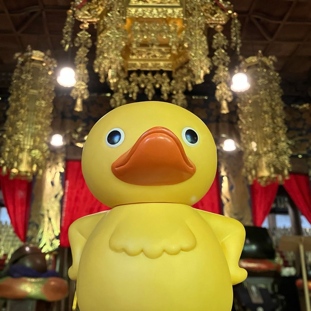 ミーサン
