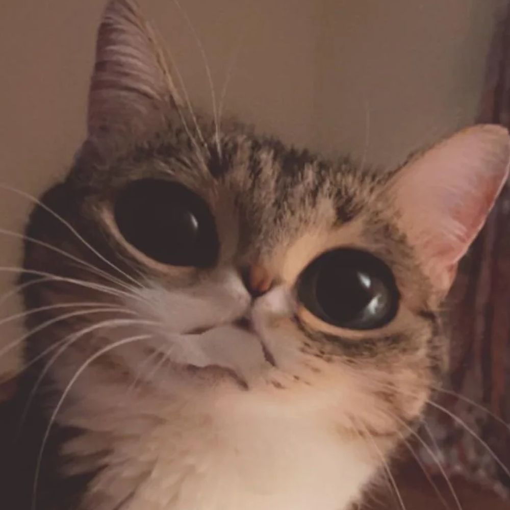 biixie