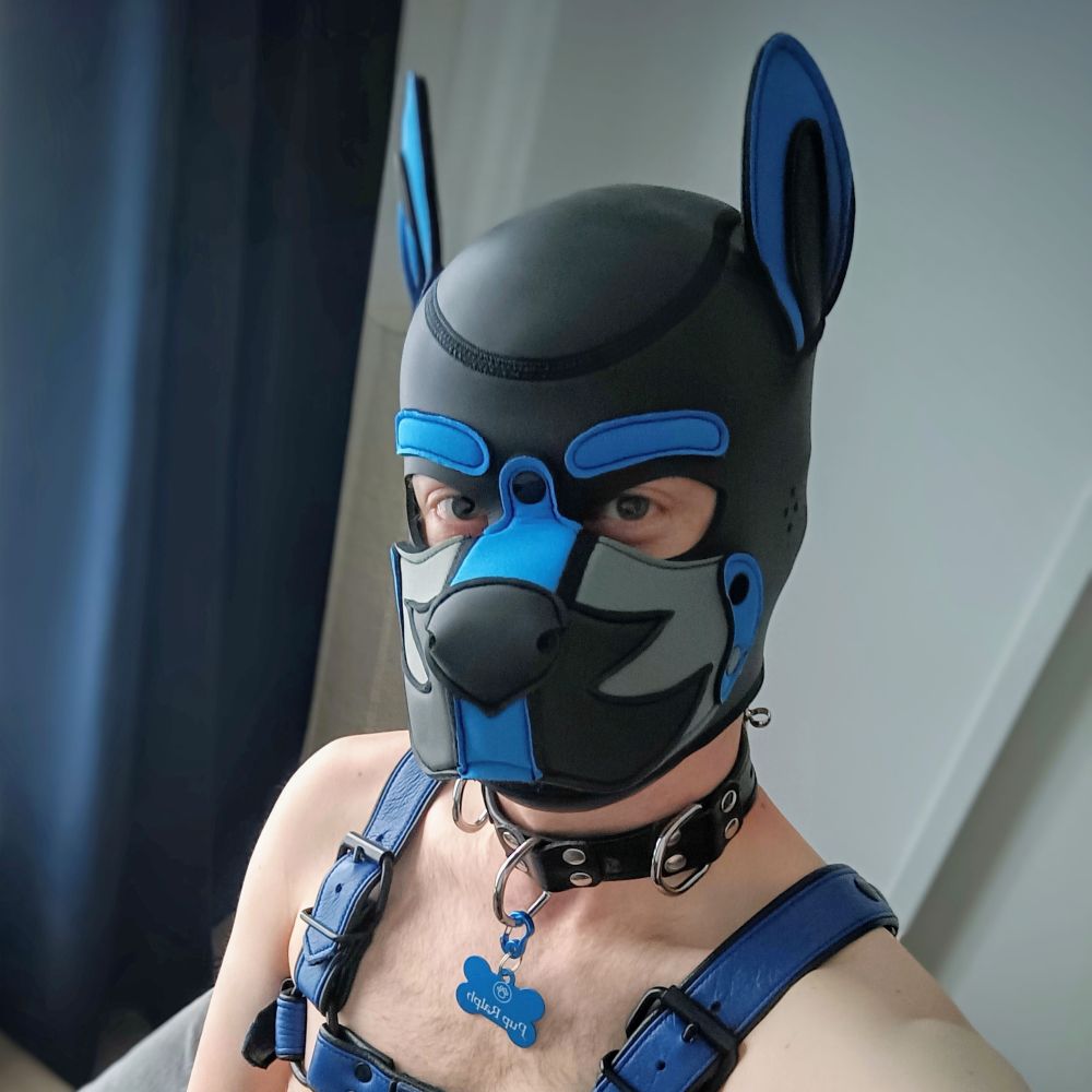 Pup Ralph